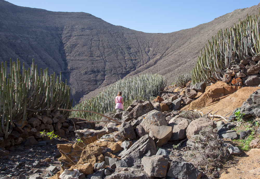 Fuerteventura Canary Islands 